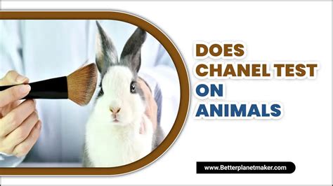 do chanel test on animals